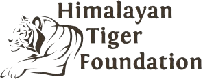 Himalayan Tiger Foundation